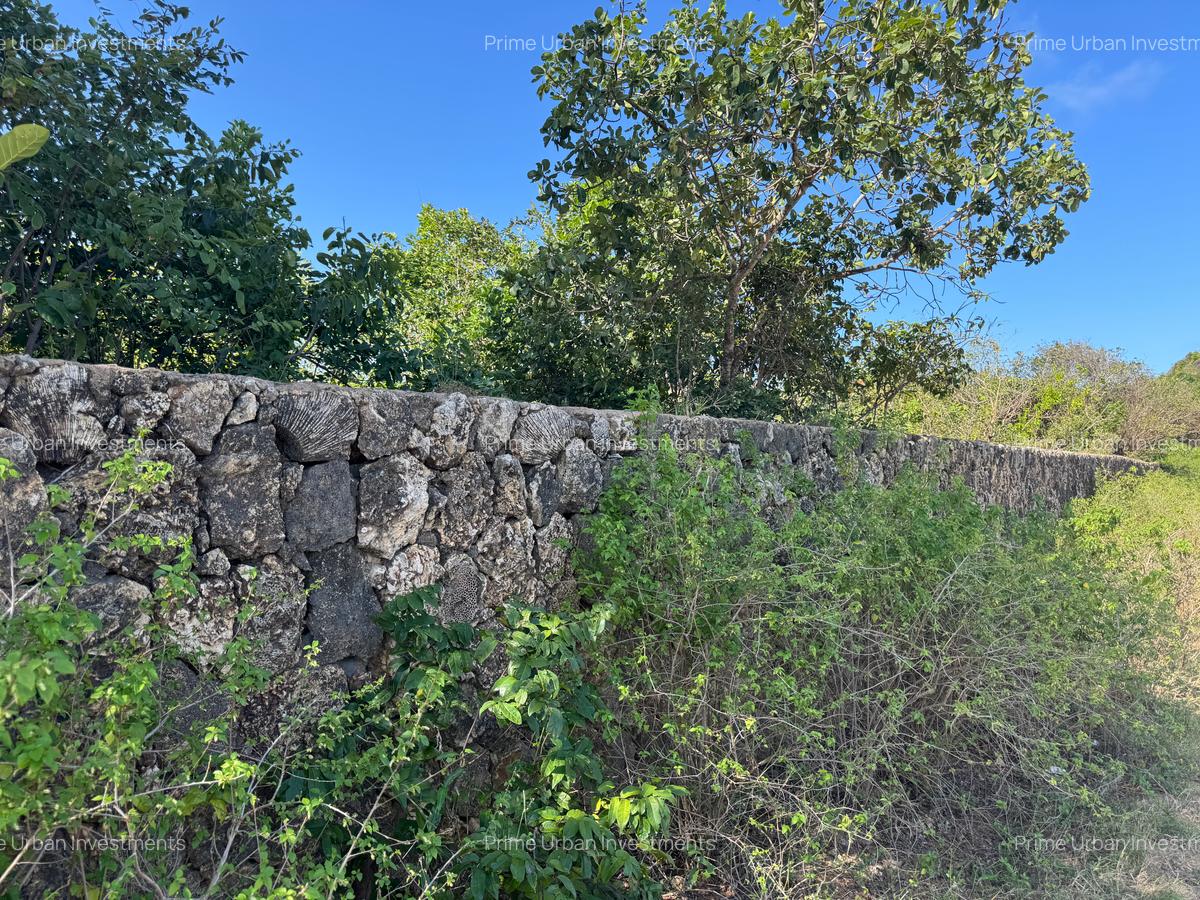 10.95 ac Land at Shanzu Beach - Overlooking Mtwapa Creek - 9