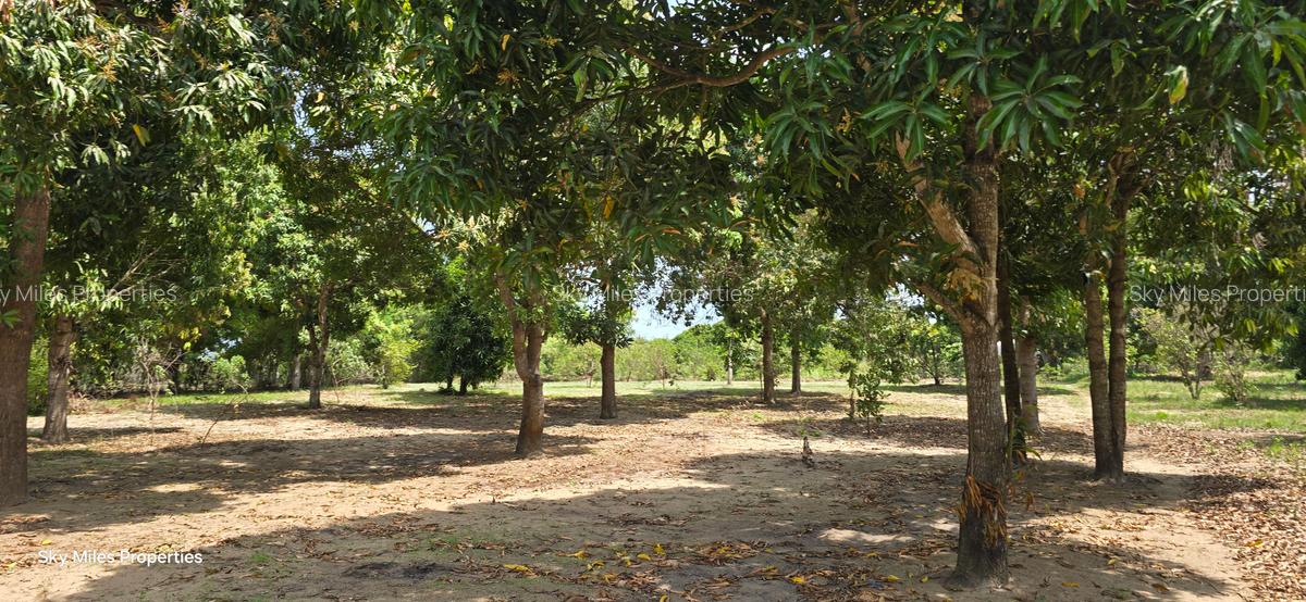 6 ac Land at Mtwapa - 10
