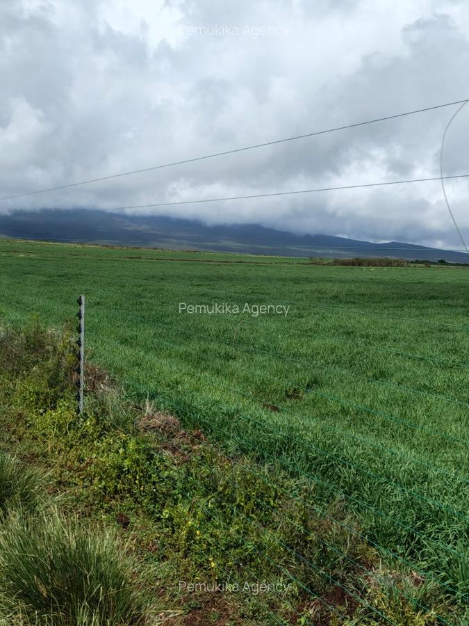 314 ac Land at Timau - 10