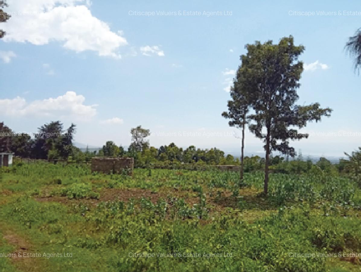 5 ac Land in Naivasha - 2