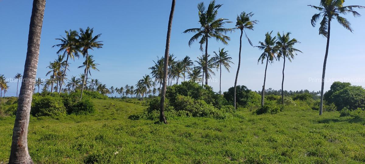 Land at Bofa Beach - 12