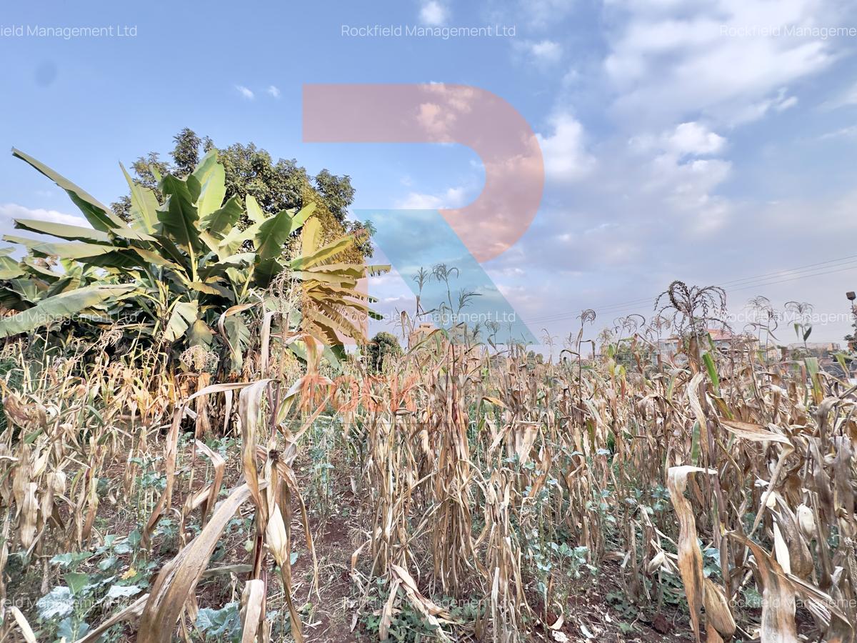 1.25 ac Land at White House Wangige - 7