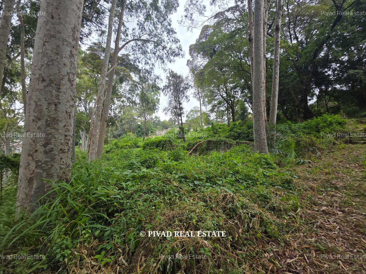 4.3 ac Land at Old Muthaiga - 8