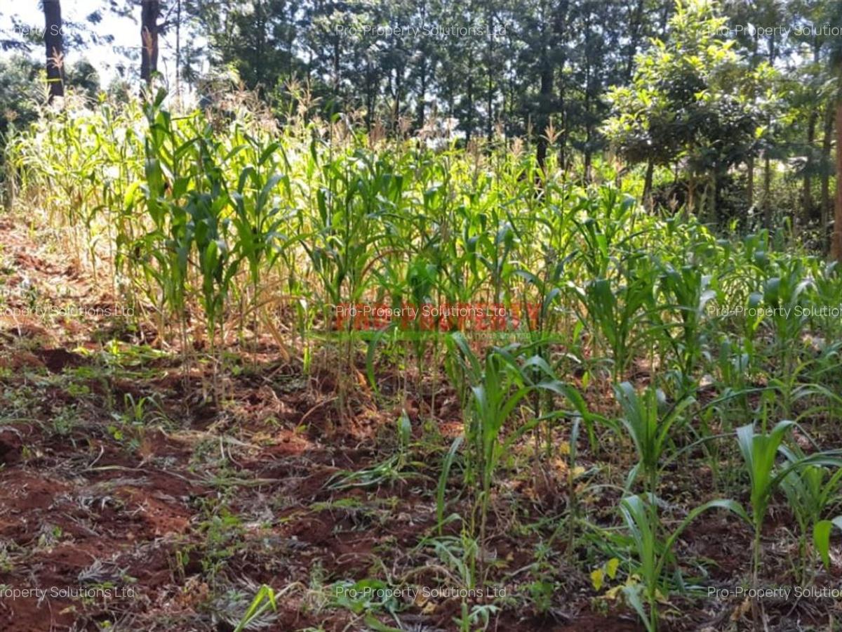 1,000 m² Residential Land in Kikuyu Town - 12