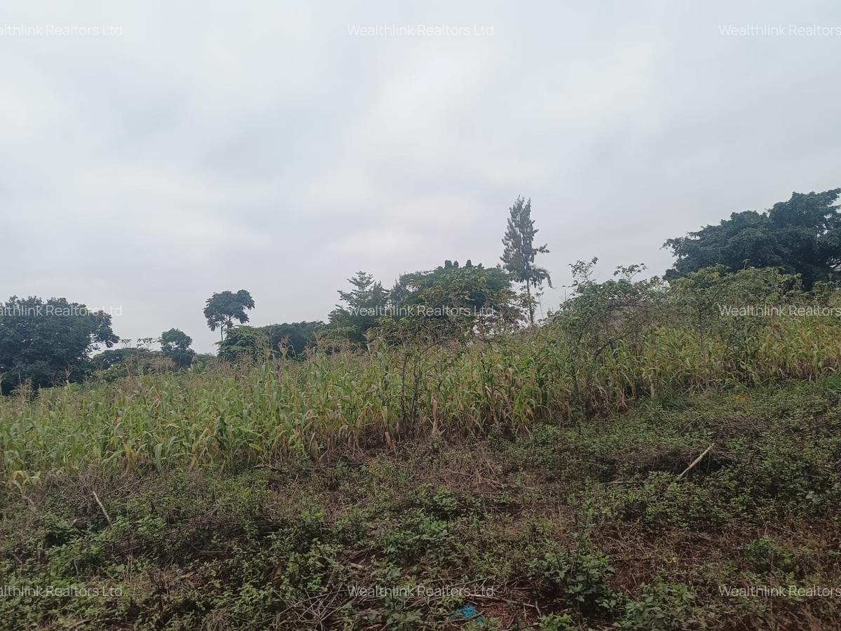 Residential Land at Kamiti Ridge - 3
