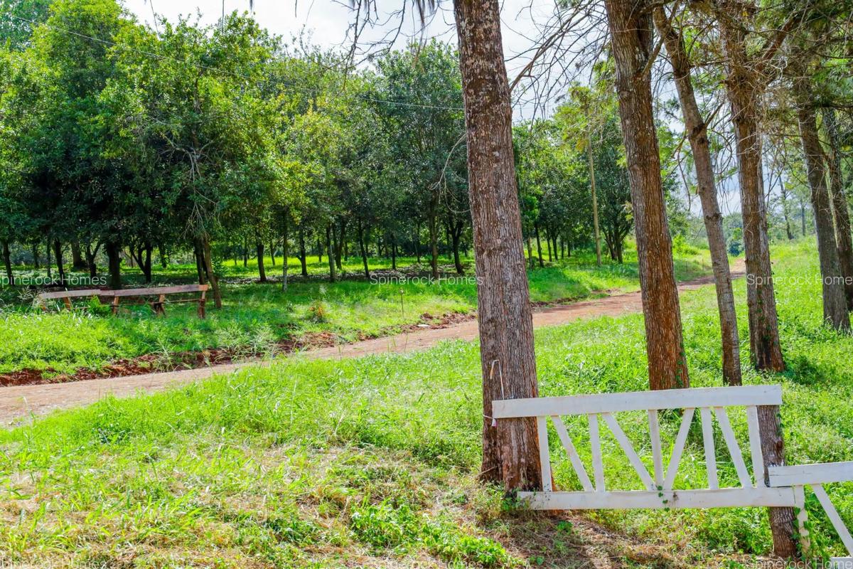 0.125 ac Residential Land at Juja-Gatundu Road - 6