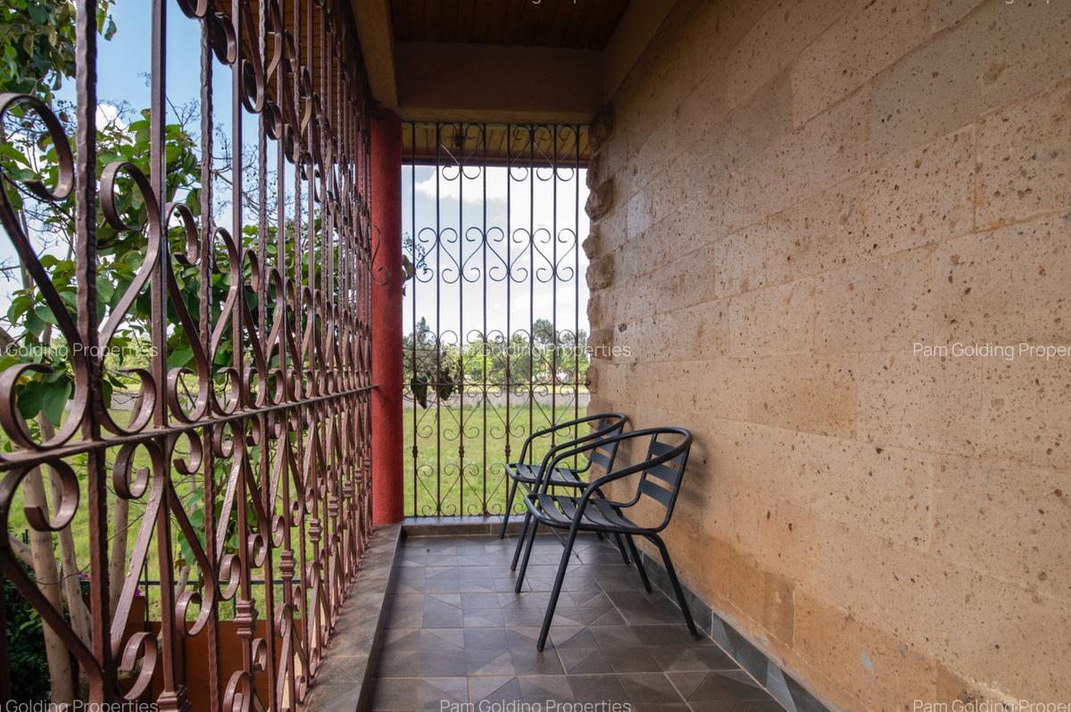 Furnished 1 Bed Apartment with En Suite in Karen - 14