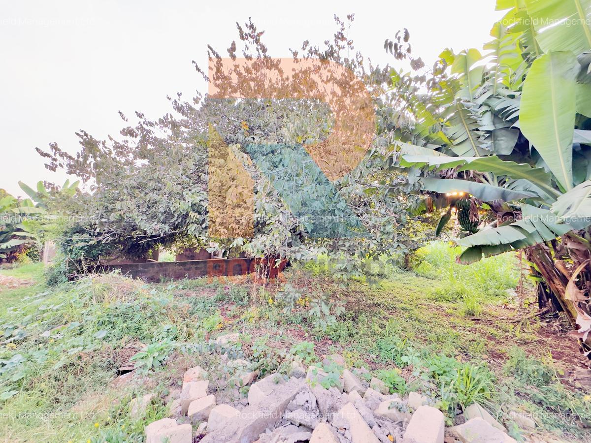 1.25 ac Land at White House Estate - 5