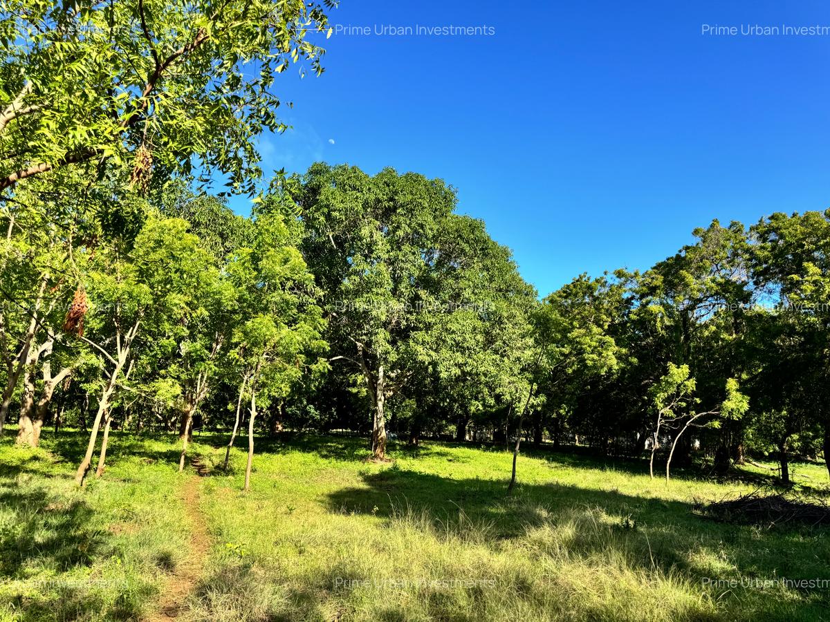 73.6 ac Land at Vipingo Kuruwitu Beach - 11