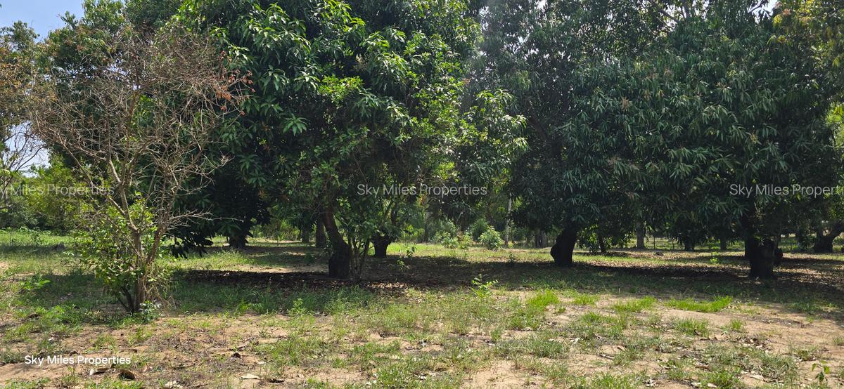 6 ac Land at Mtwapa - 11