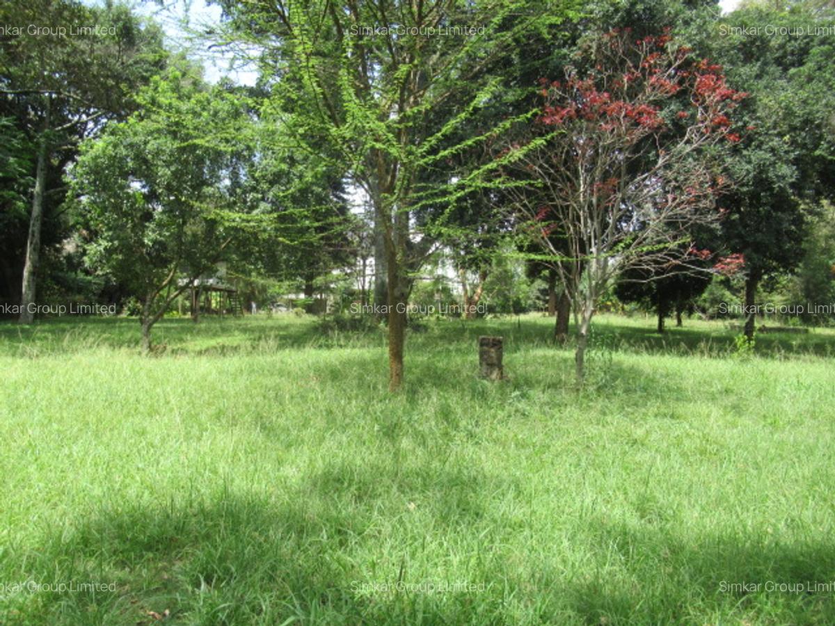 Residential Land at Koitobos Rd - 10
