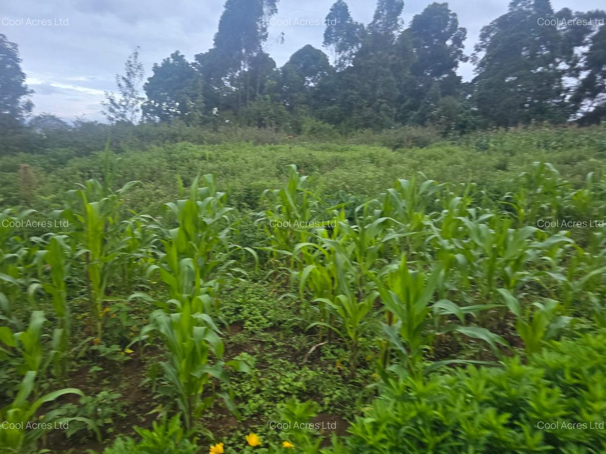 1 ac Land at Gicharani - 6