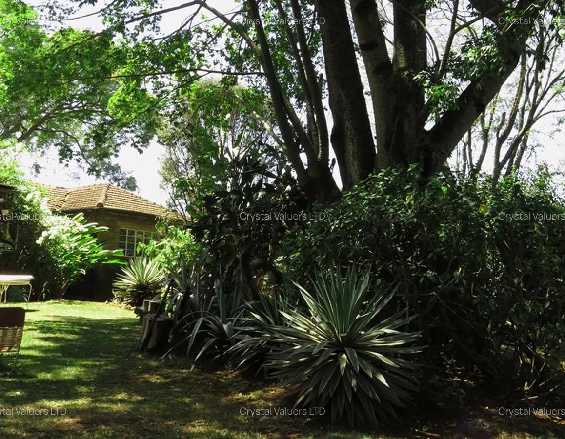 Land in Lavington - 19