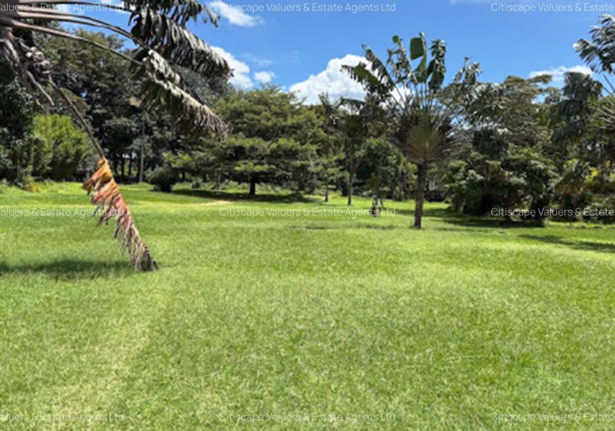 26 ac Land in Karen - 6