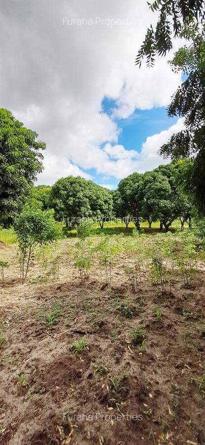 Land at Mtwapa - 14
