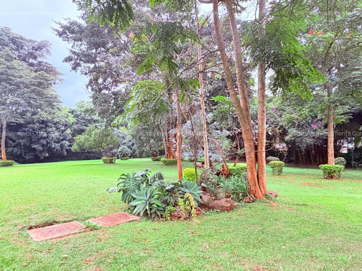 4.1 ac Land in Rosslyn - 15