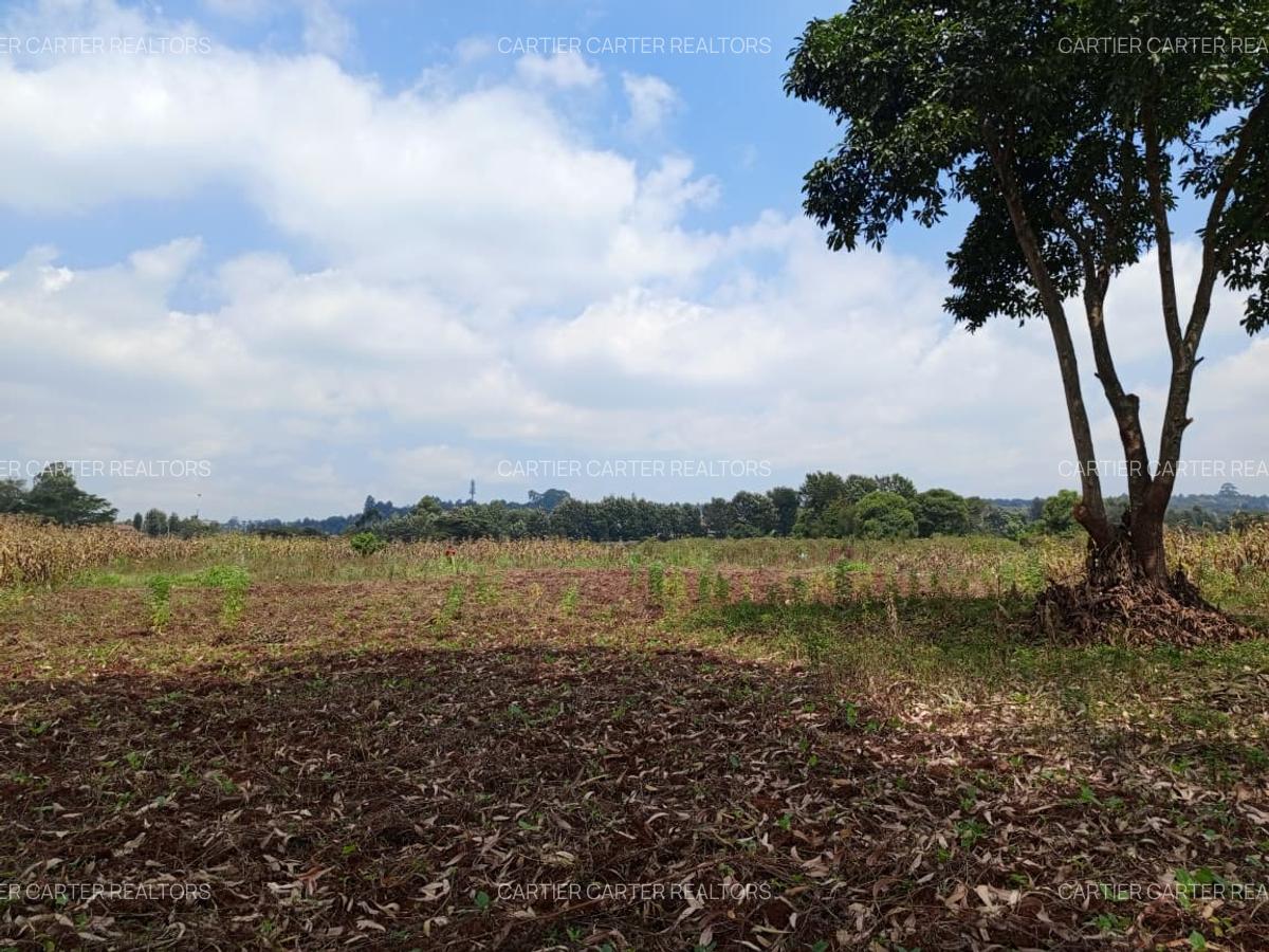 Land in Karen - 1