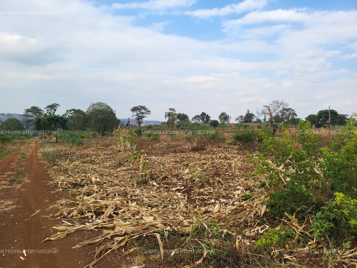 Residential Land in Ruiru - 11