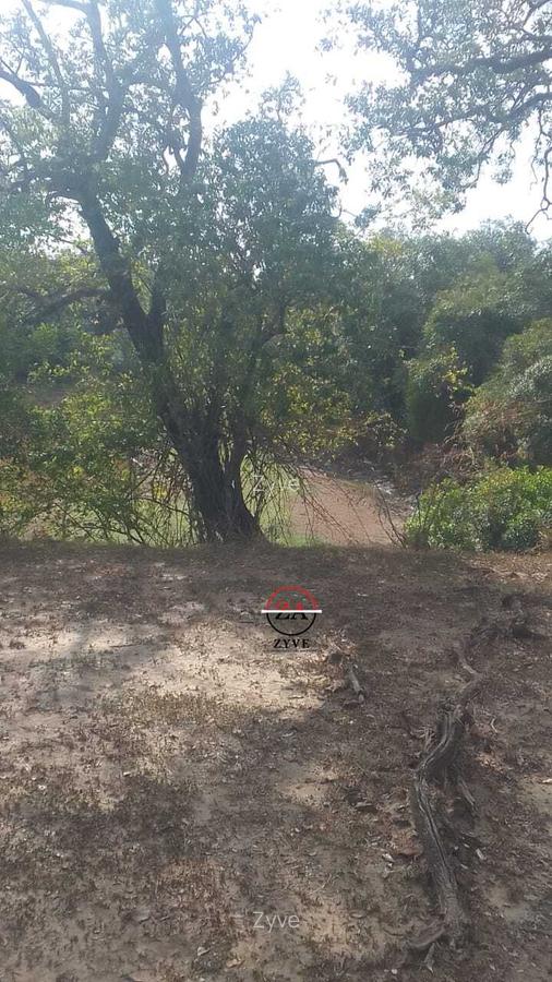 88 ac Land at Ol Choro Conservancy - 8