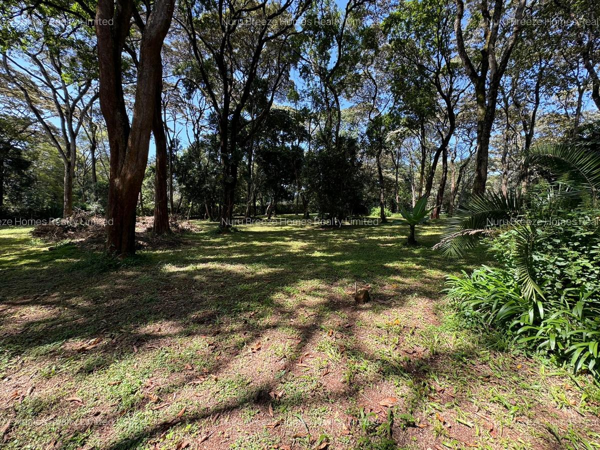 1 ac Land in Karen - 3