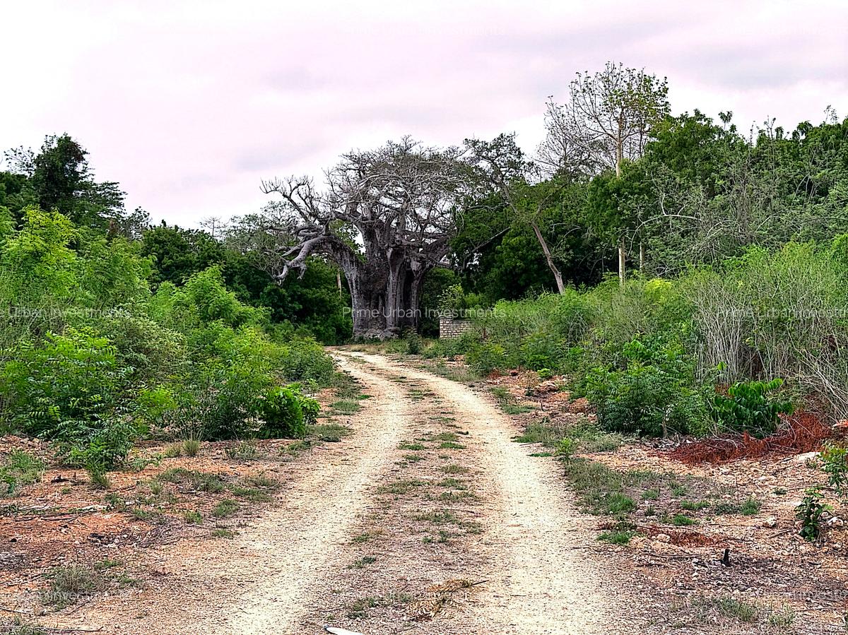 4,026 m² Land at Vipingo Kuruwitu - 9
