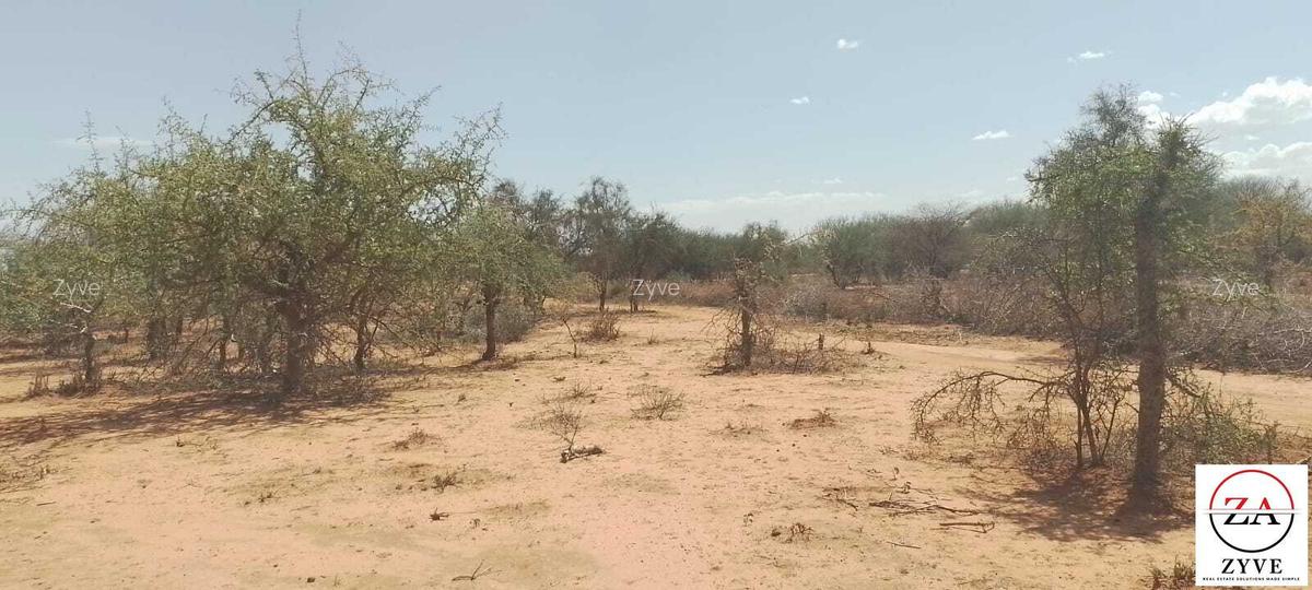 148 ac Land at Namanga Road - 4