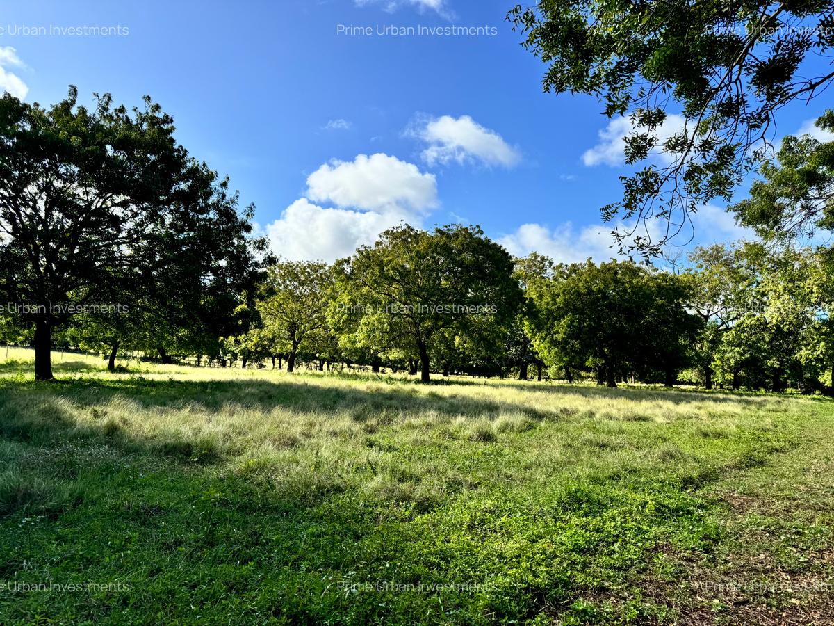 Land in Vipingo - 2