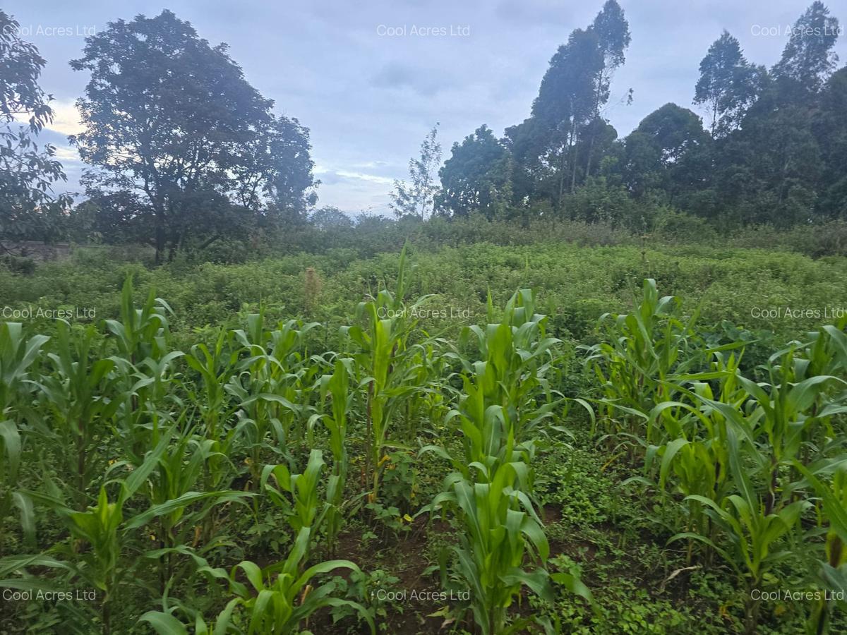 1 ac Land at Gicharani - 3