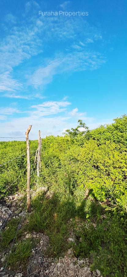 Land at Watamu - 7