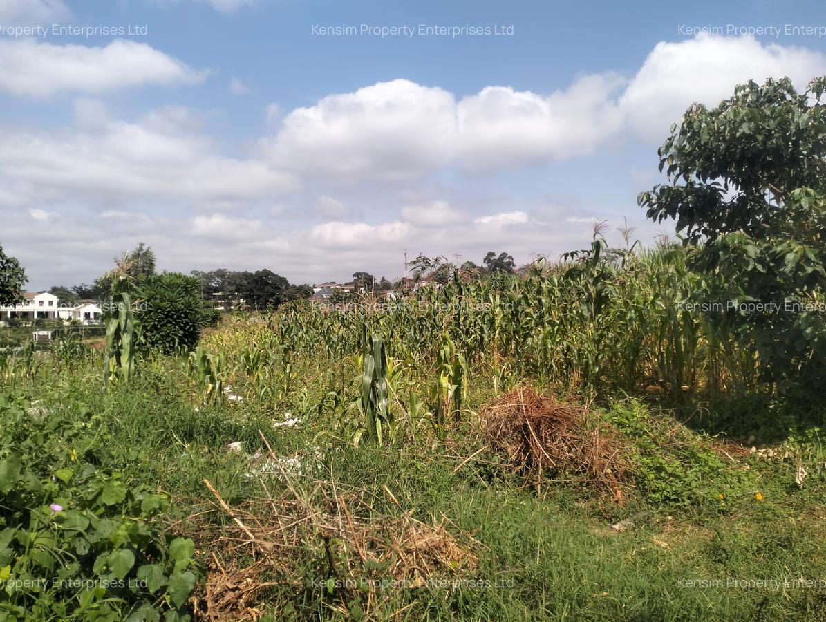 0.5 ac Land in Kitisuru - 1
