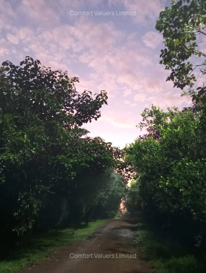 Residential Land at Karen - 3