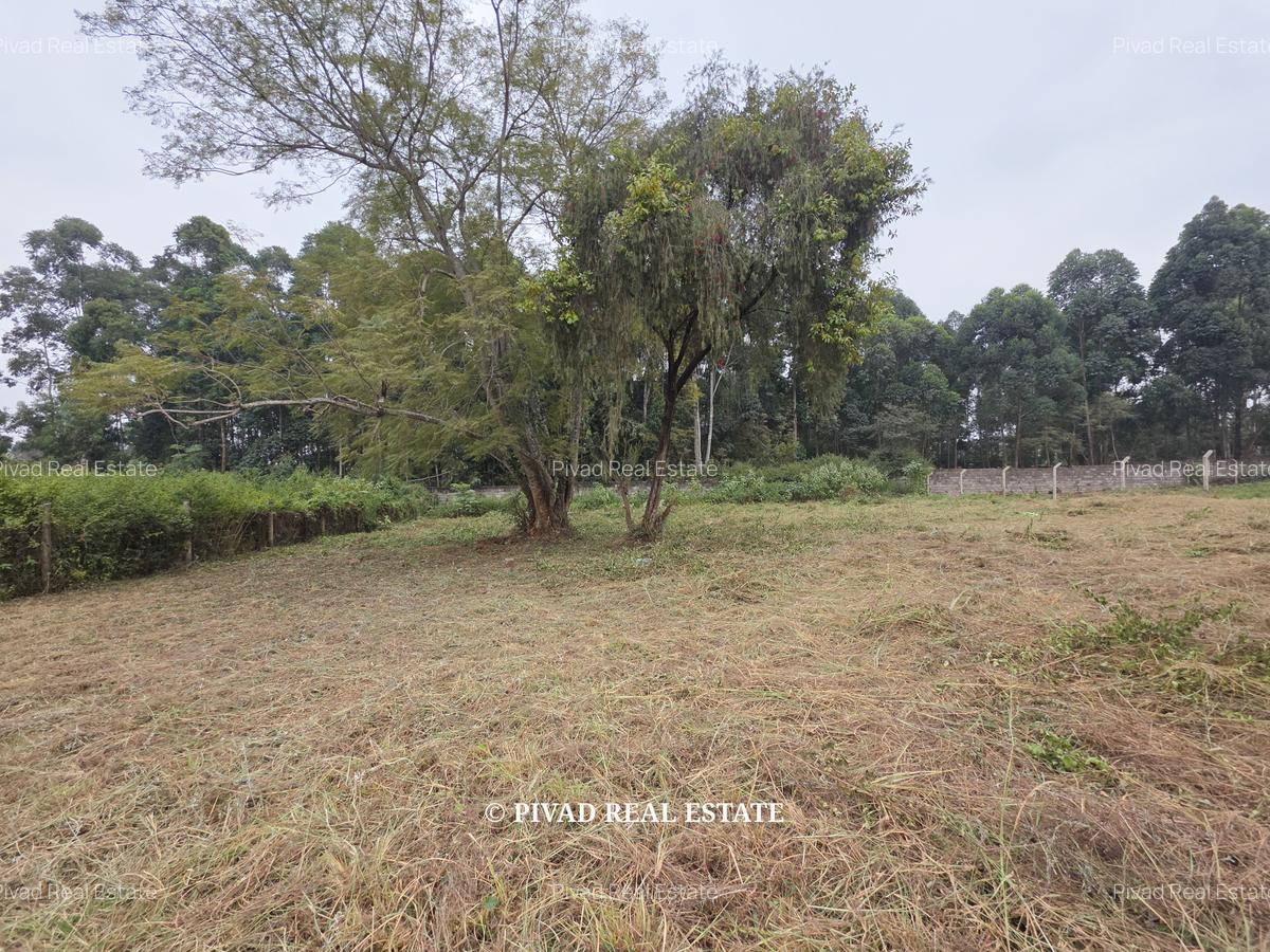 0.5 ac Land in Garden Estate - 4