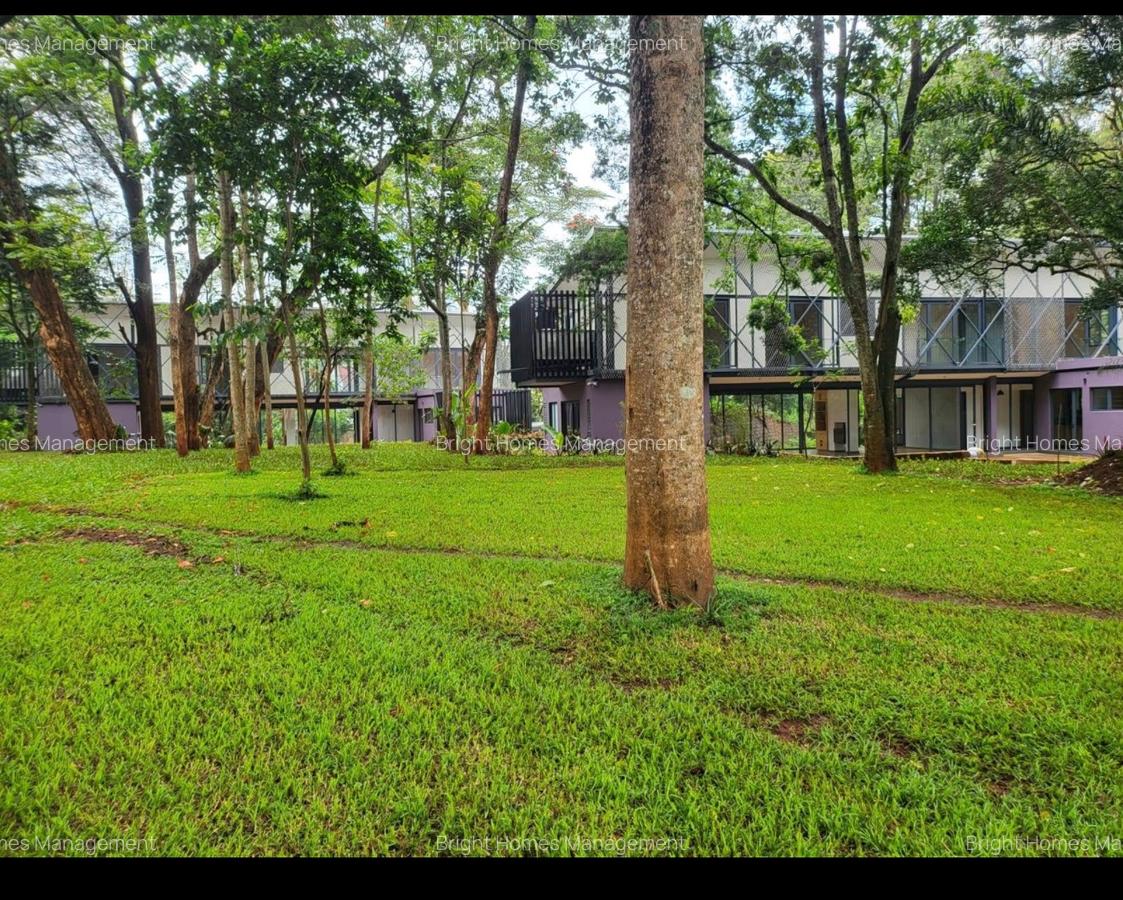 Commercial Property with Parking in Lavington - 14