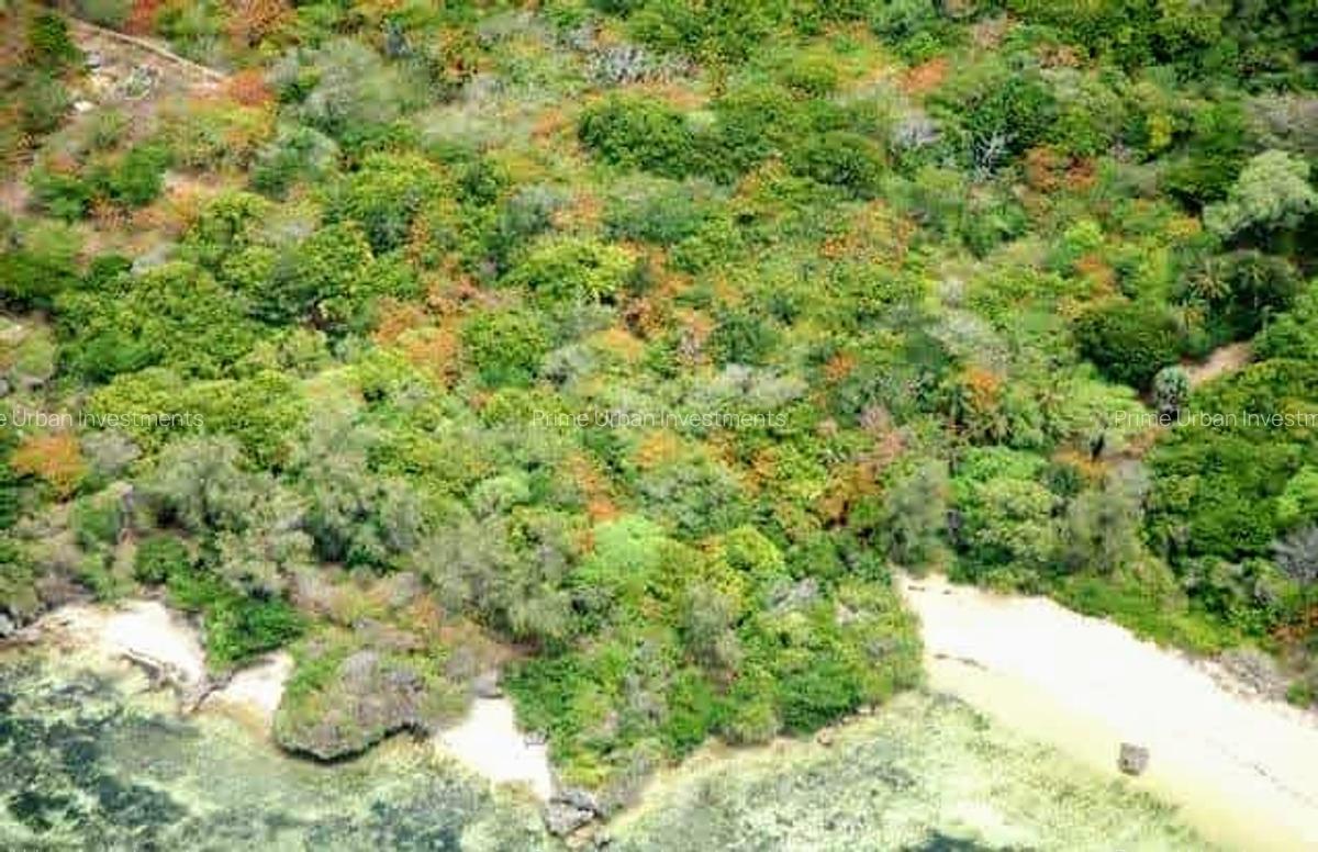 Land at Vipingo Kuruwitu Beach - 9