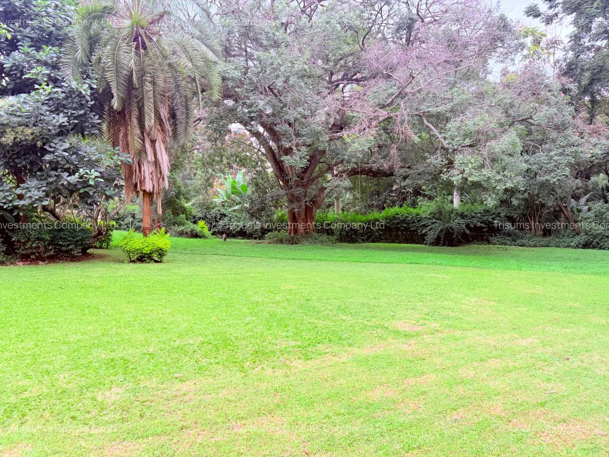 4.1 ac Land in Rosslyn - 5