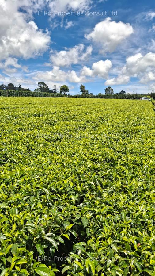 1 ac Residential Land at Limuru Girls High School - 2