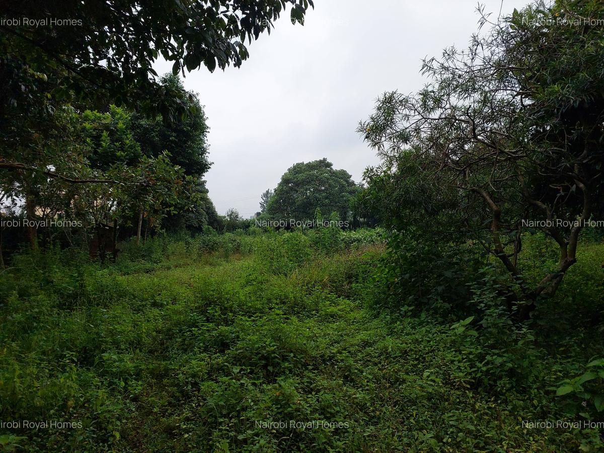 Commercial Land at Redhill Road - 10