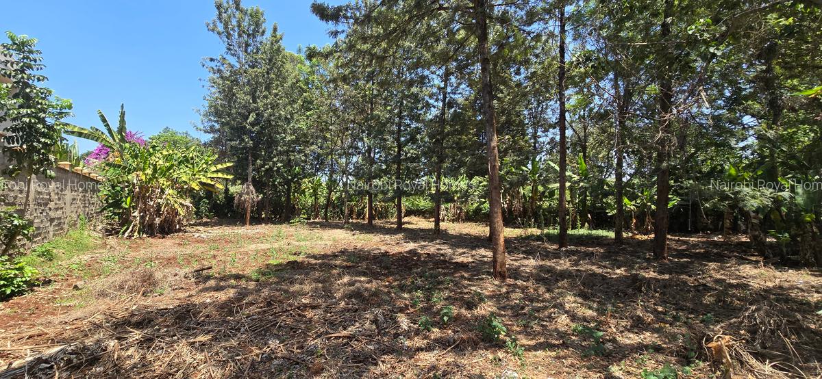 Residential Land at New Kitisuru - 4
