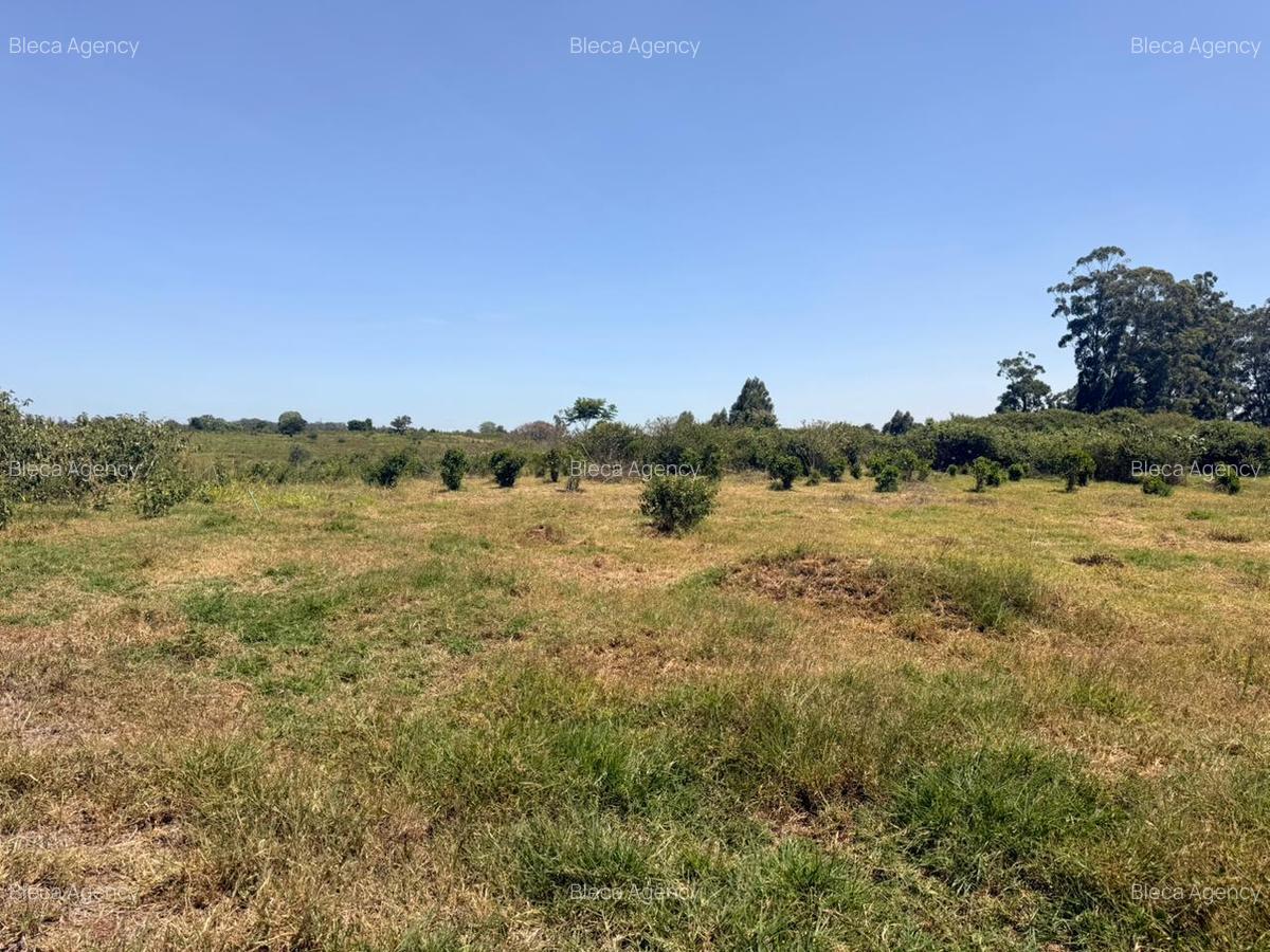 500 m² Land at Ruiru-Githunguri Road - 3