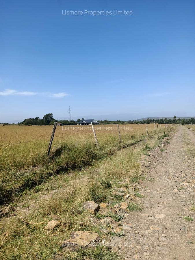 Land in Nyeri - 1