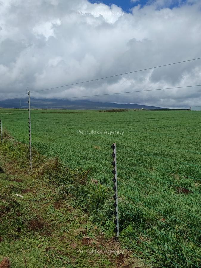 314 ac Land at Timau - 5