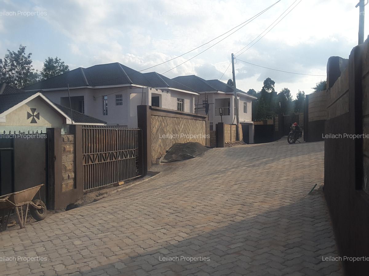 4 Bed House with En Suite in Ngong - 9