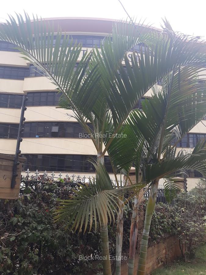 1,898 ft² Office with Backup Generator in Westlands Area - 2