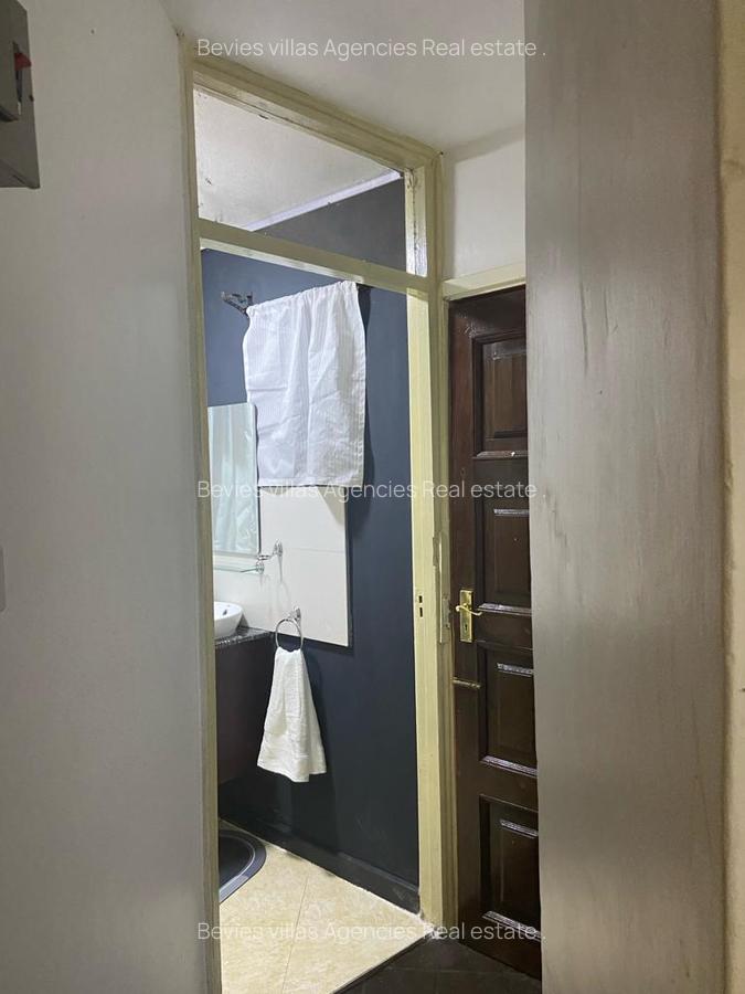 Furnished 1 Bed Apartment with Borehole at Raphta Road - 10