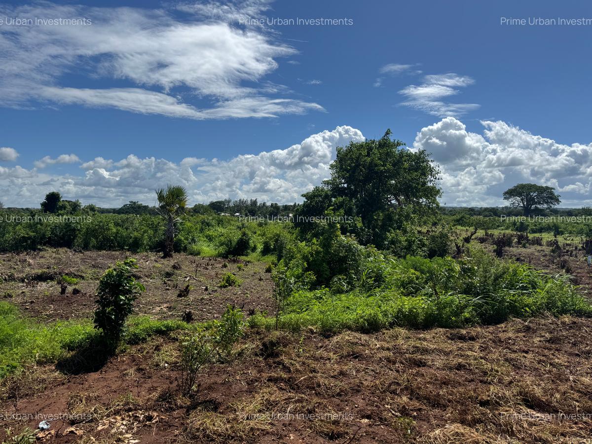 Land in Vipingo - 1