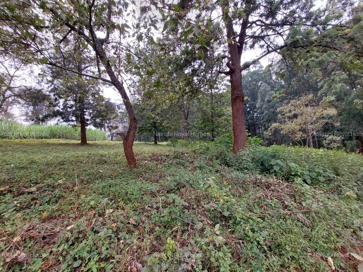 Residential Land at Ruaka Road - 4