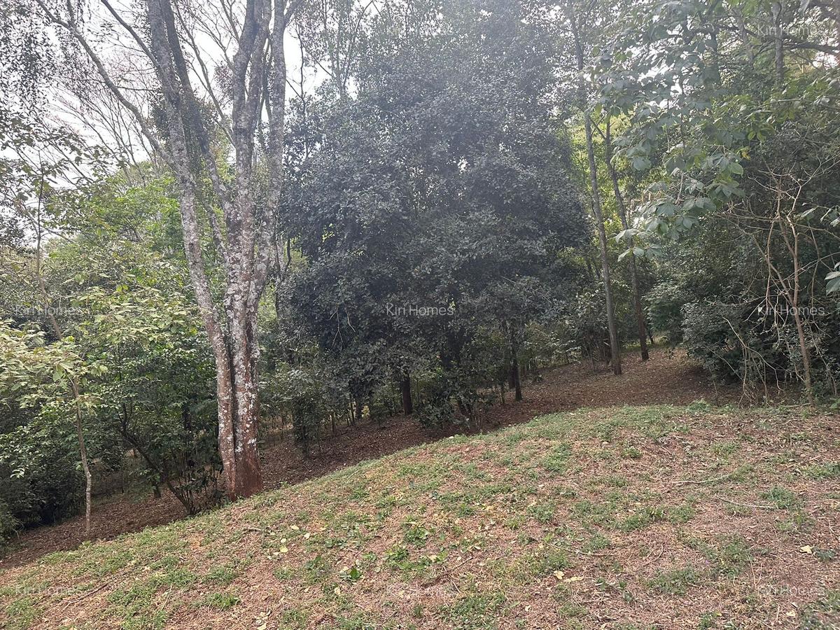 Land in Karen - 19