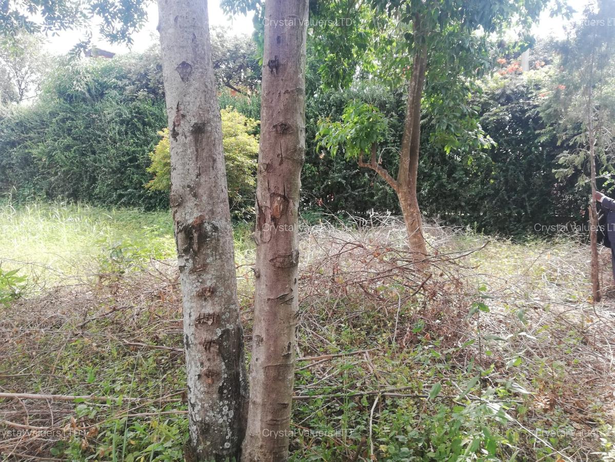 Land in Membley - 3