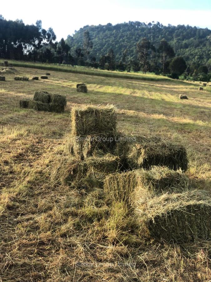 33 ac Land at Ol Kalou - 8