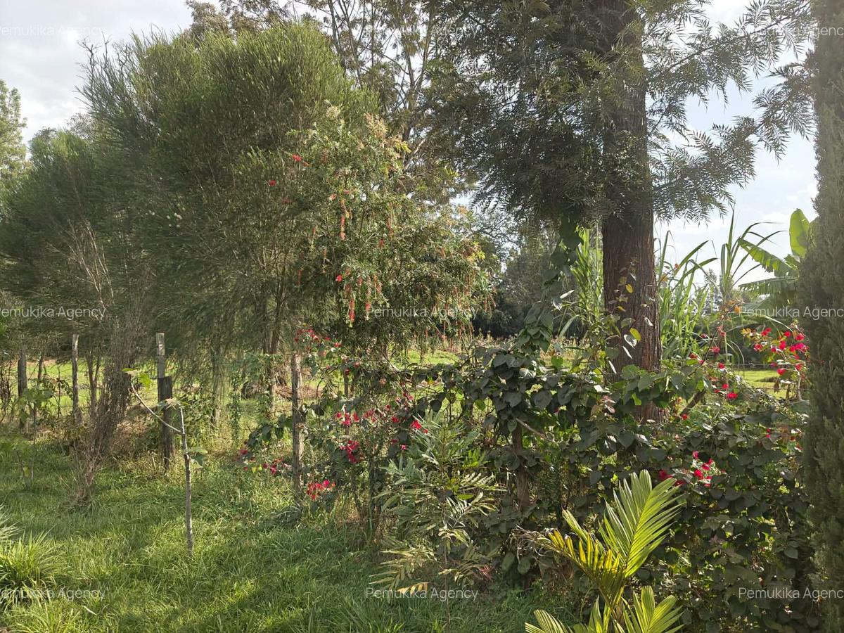 Residential Land in Garden Estate - 2